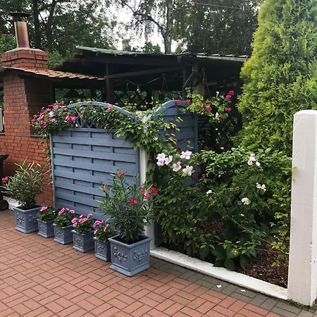 W Starej Lesnej 斯蒂格纳