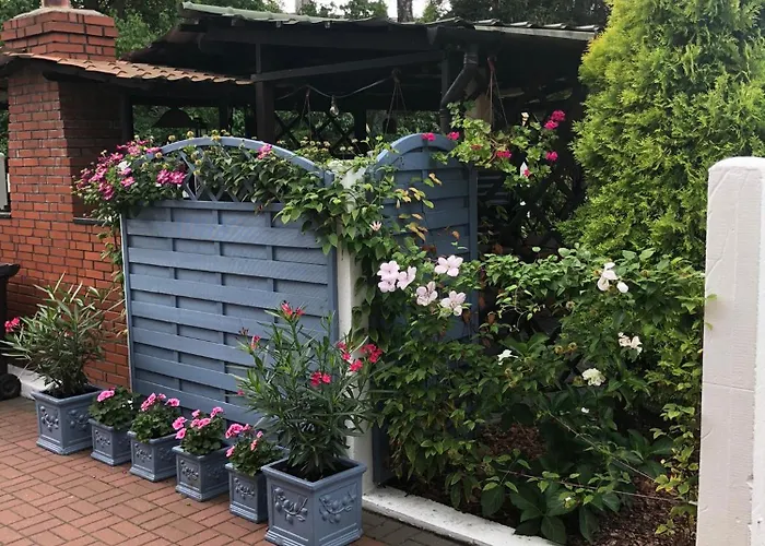 W Starej Lesnej Stegna (Pomerania)